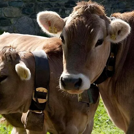 Gaestehaus Summer * Schruns