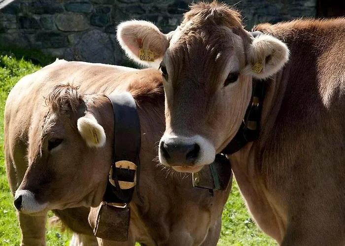 Gaestehaus Summer * Tschagguns